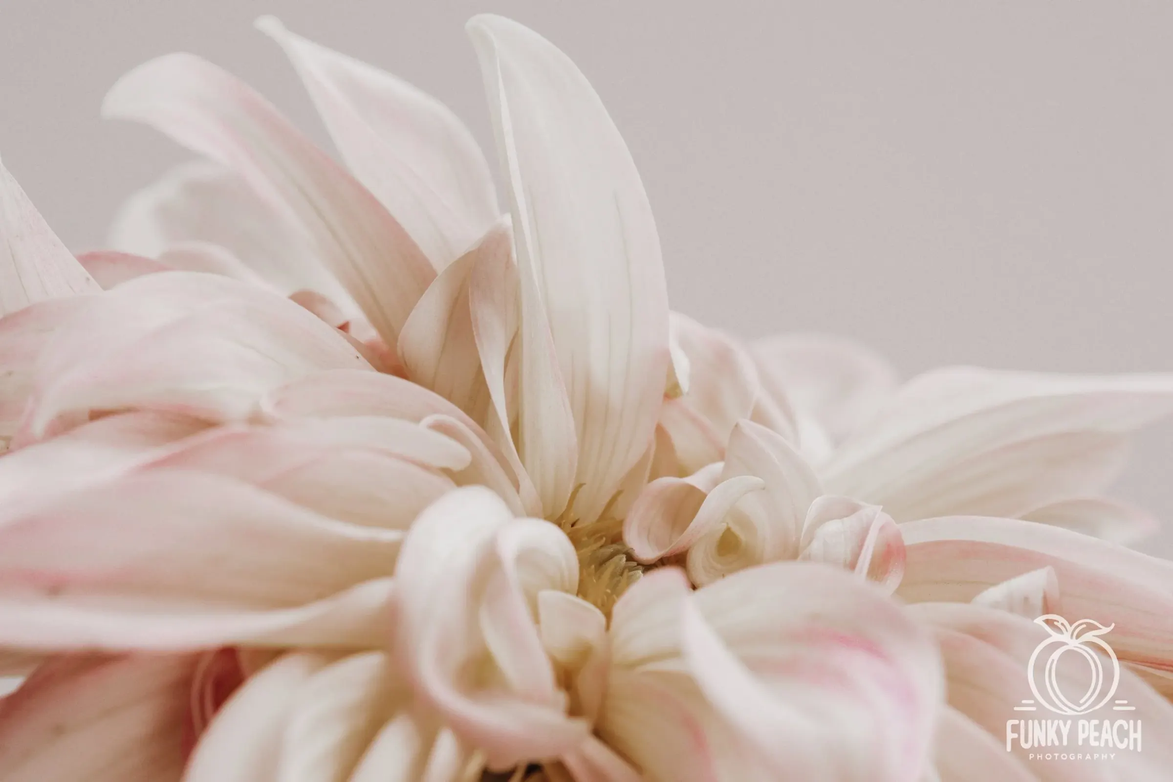 Floral — photograph 20