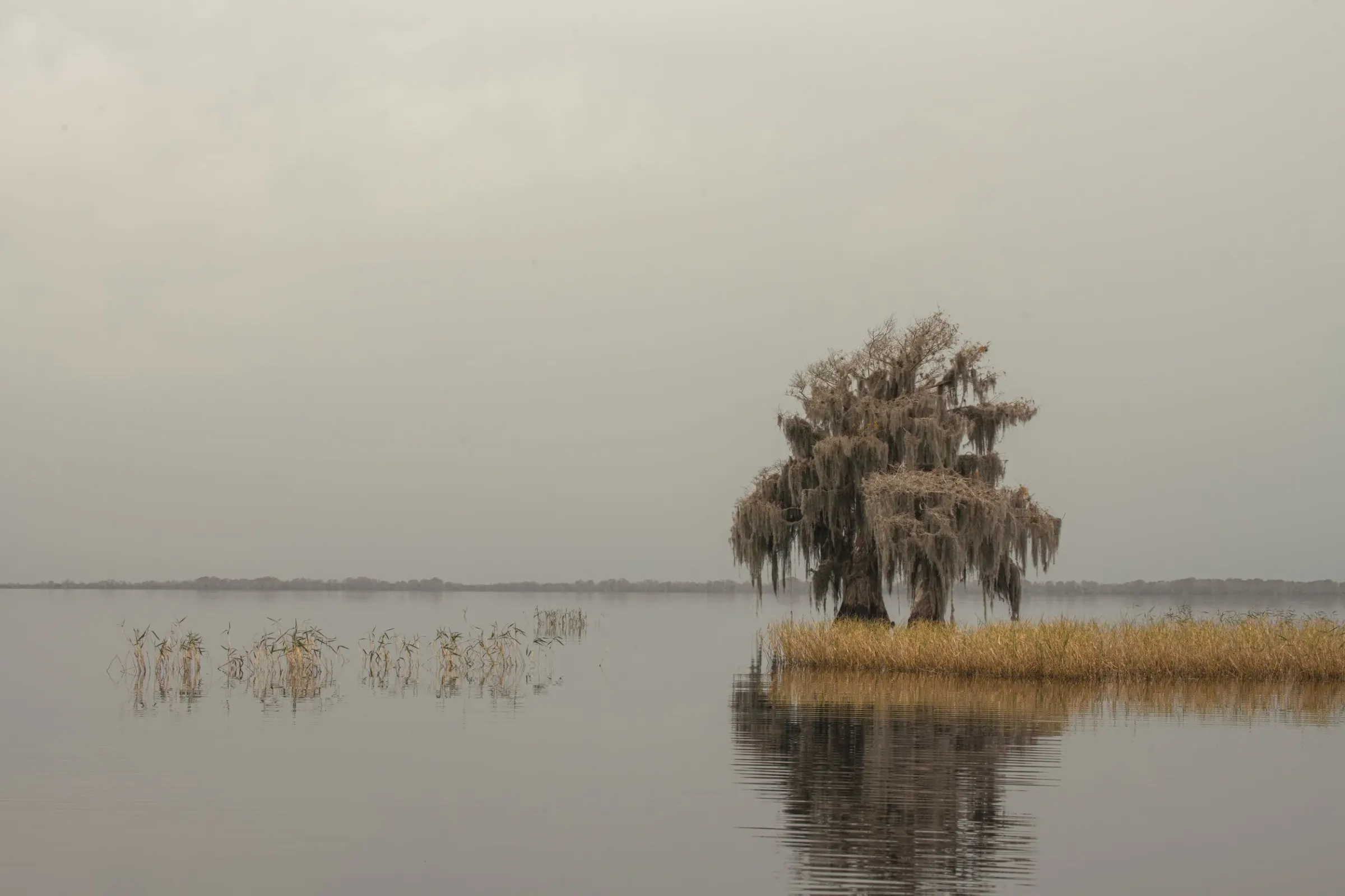 Landscapes — photograph 5