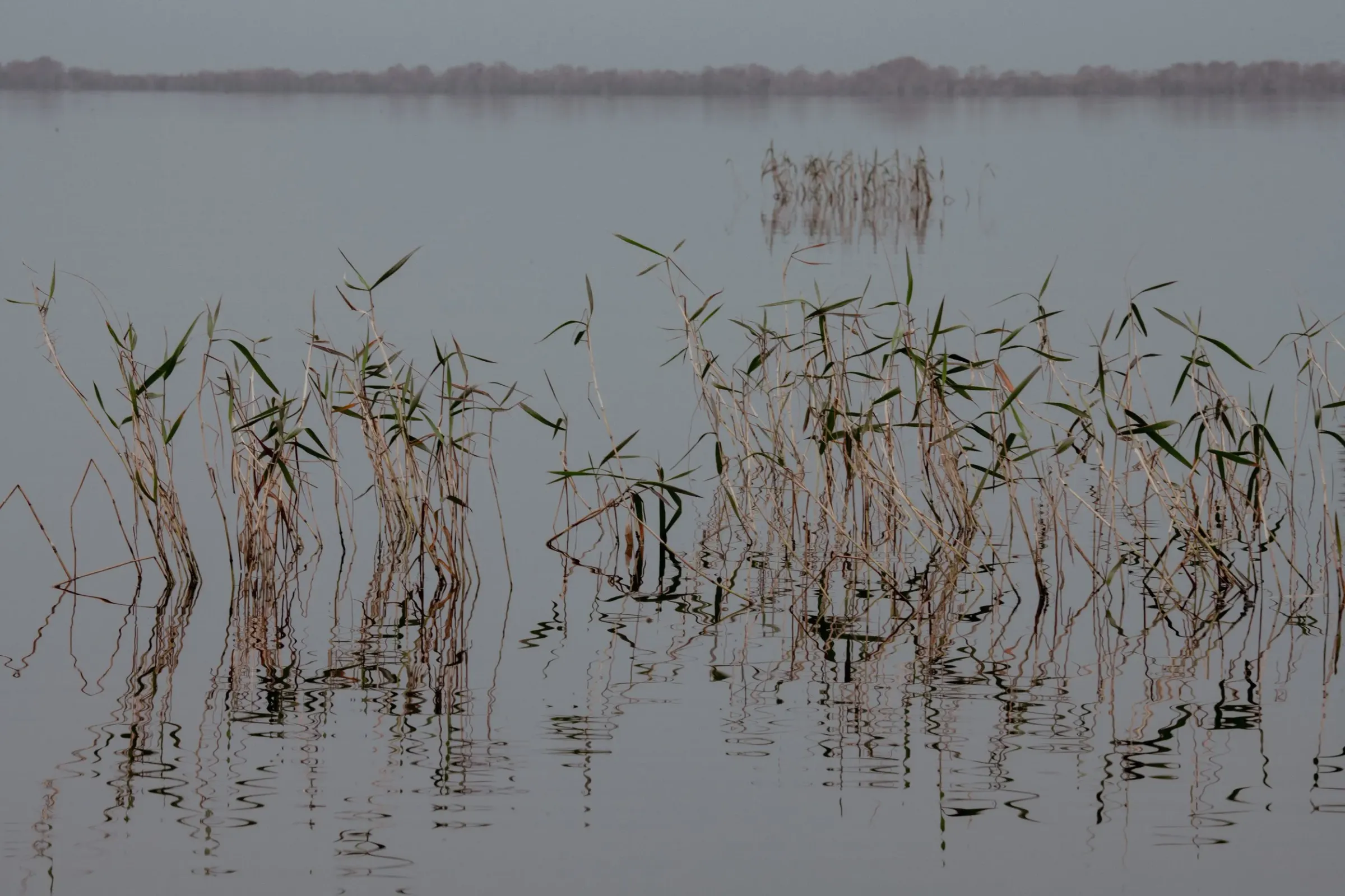 Landscapes — photograph 14