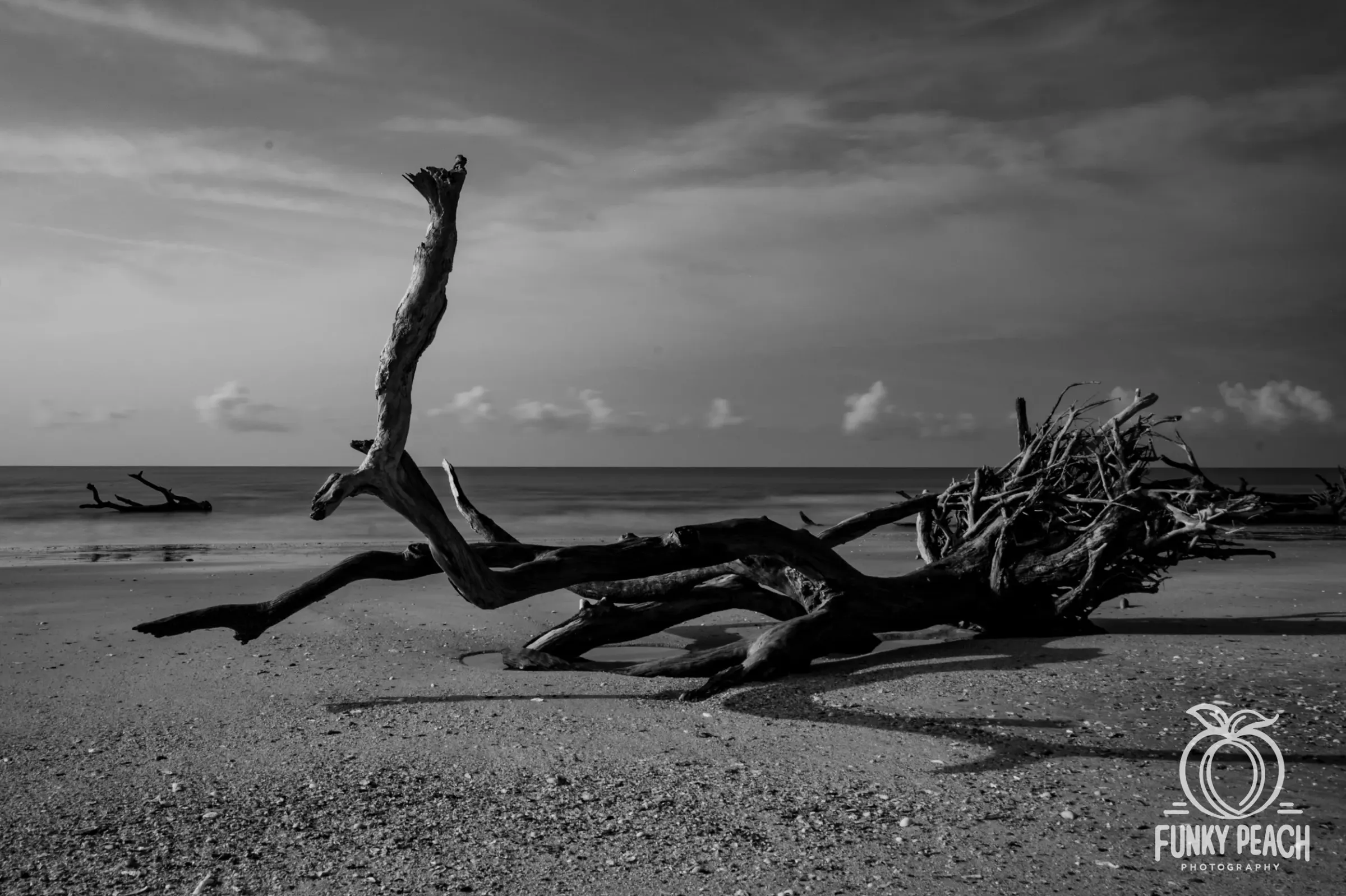 Landscapes — photograph 40