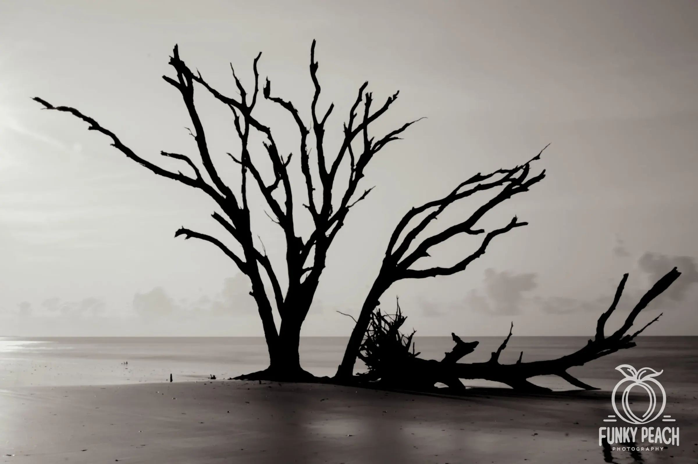 Landscapes — photograph 35