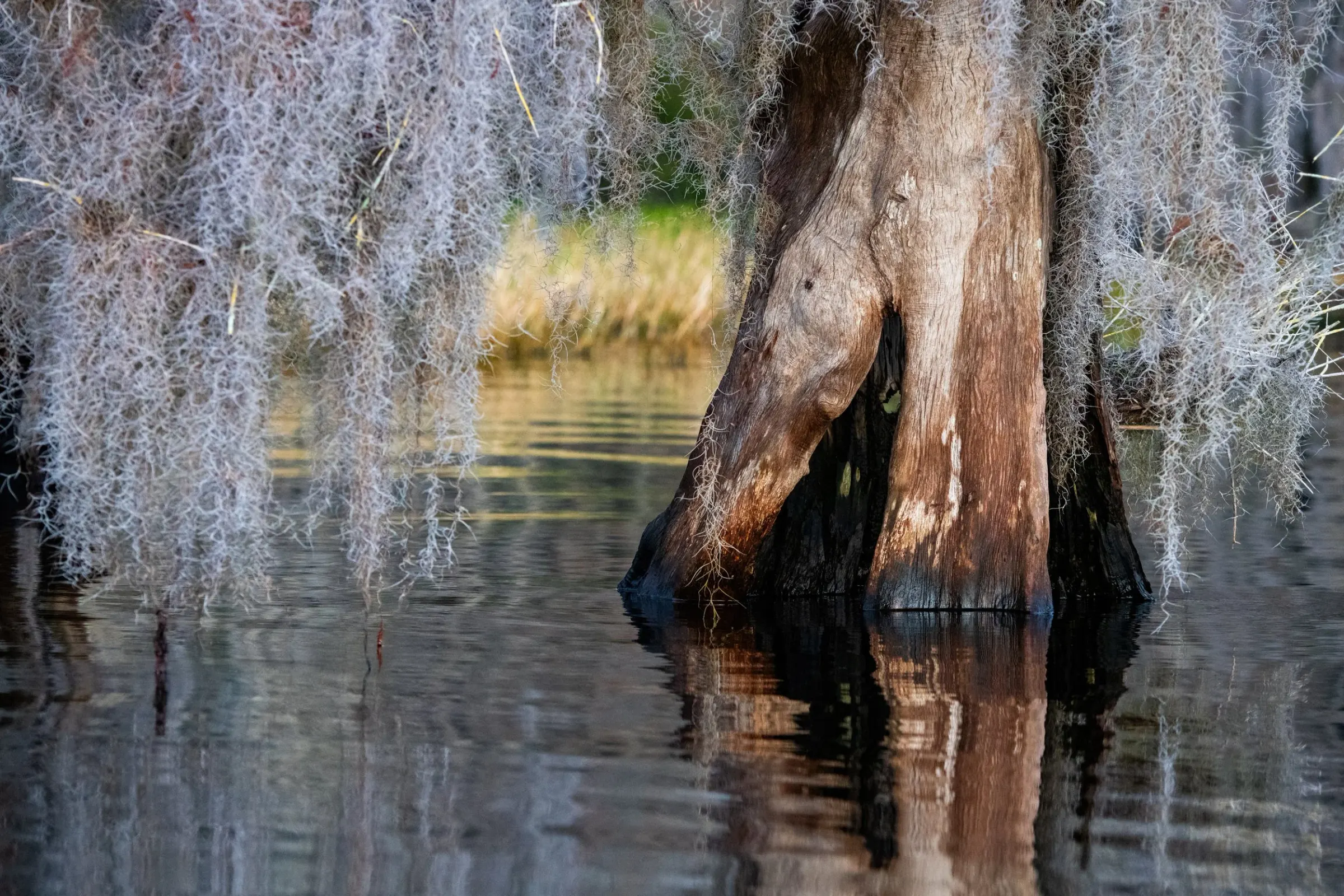 Landscapes — photograph 20
