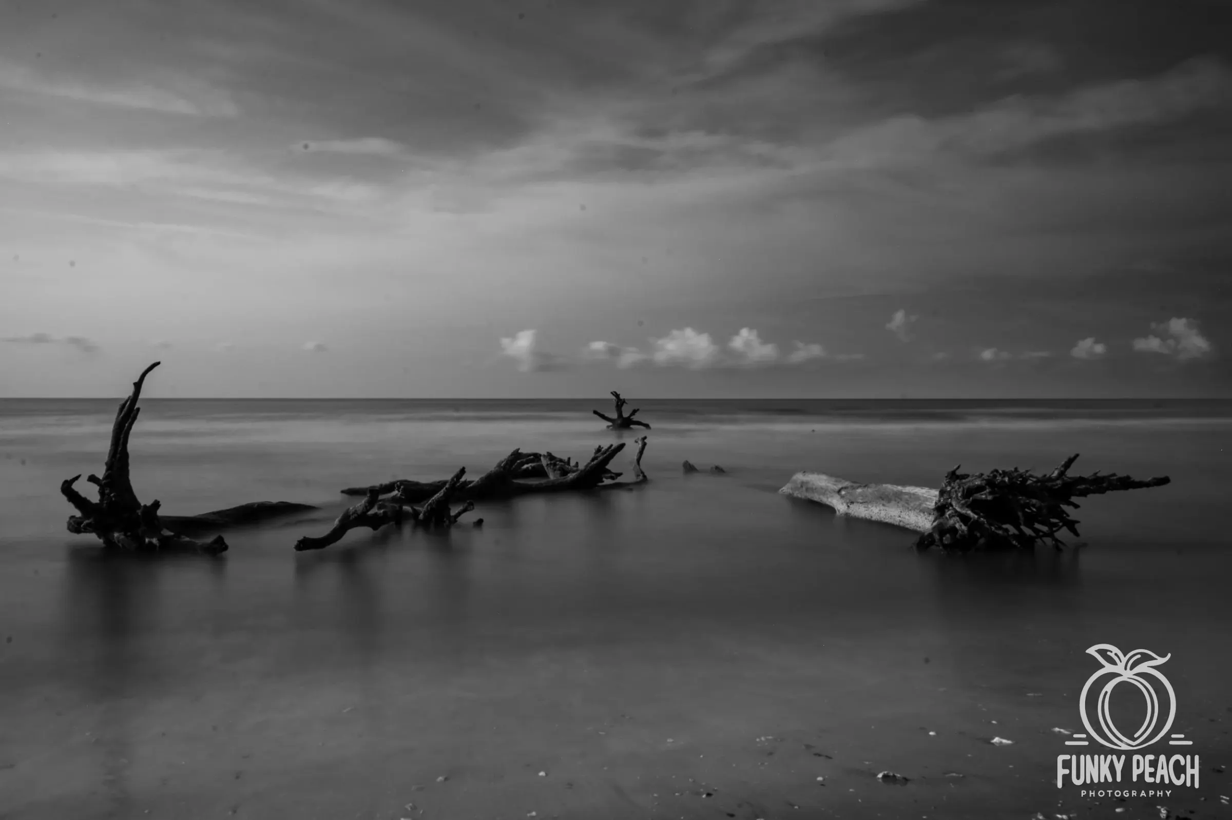 Landscapes — photograph 41
