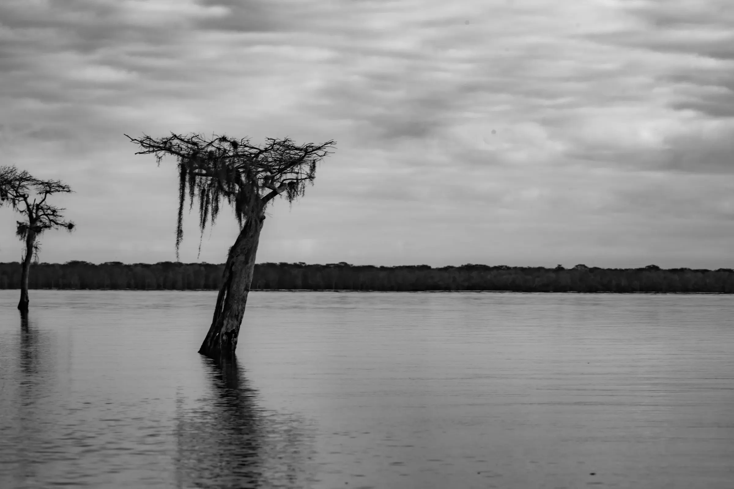 Landscapes — photograph 11