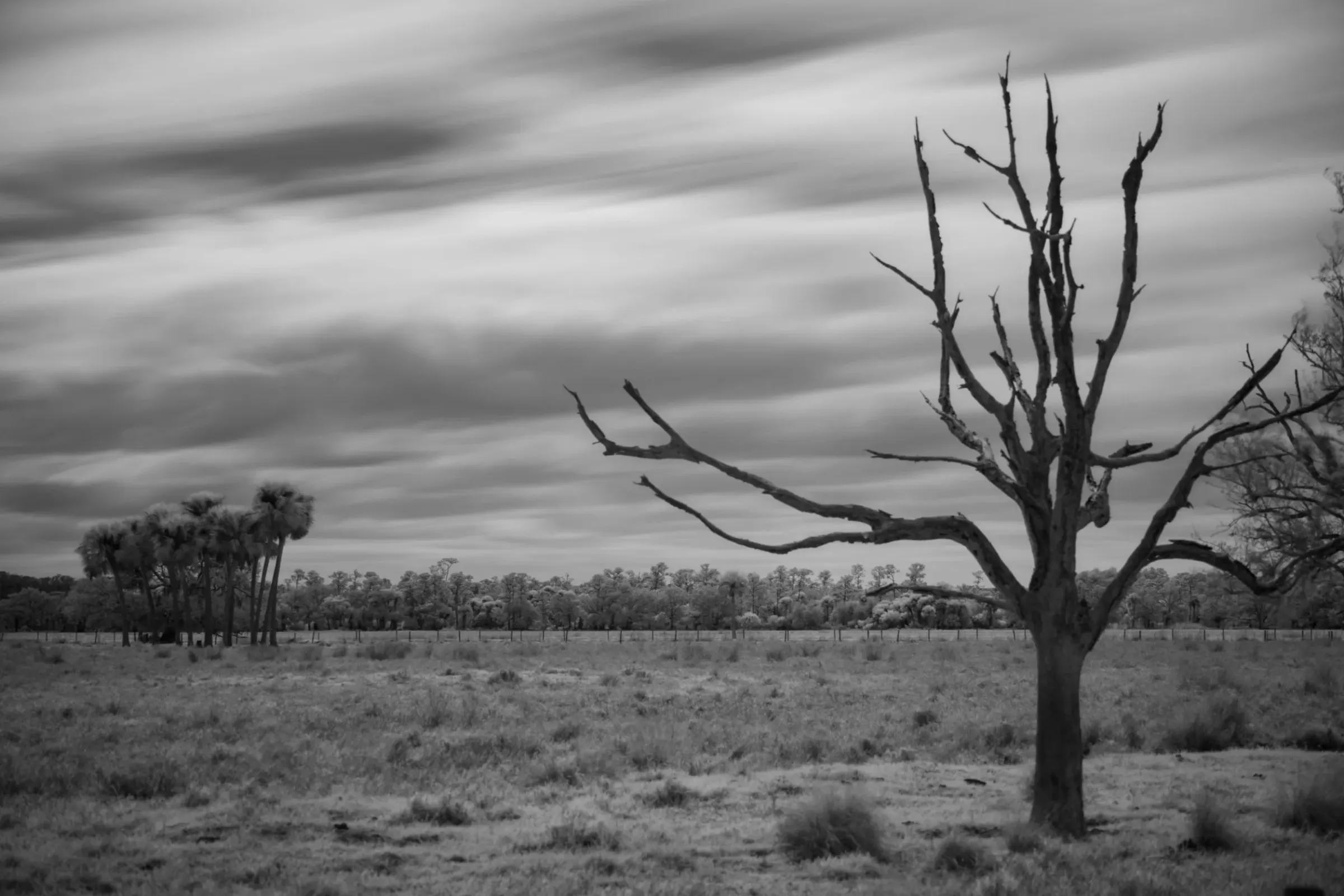 Landscapes — photograph 9