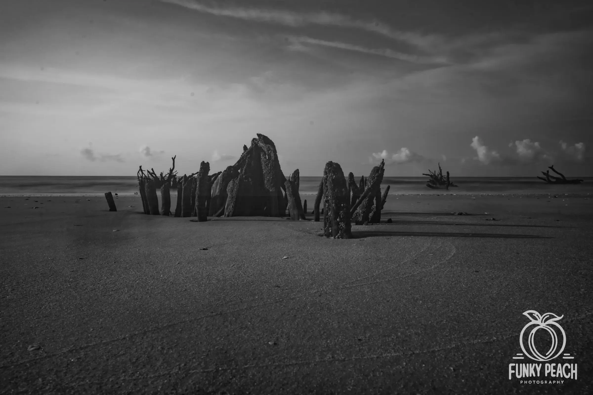 Landscapes — photograph 38