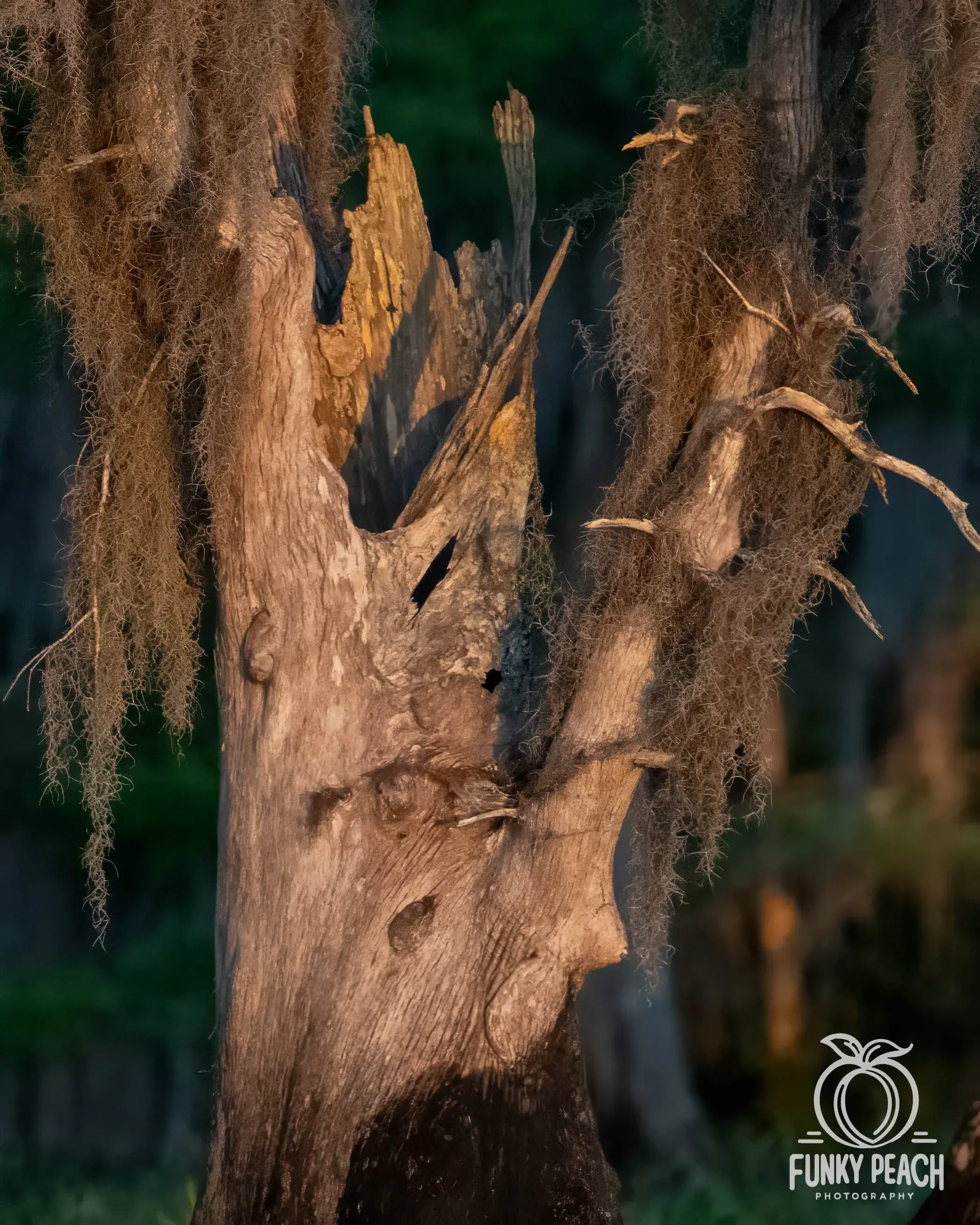 Landscapes — photograph 33