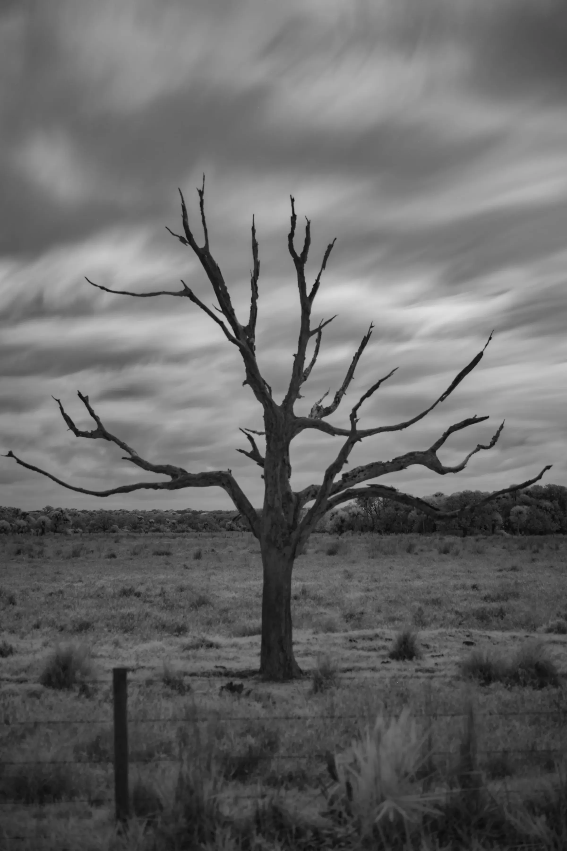 Landscapes — photograph 8