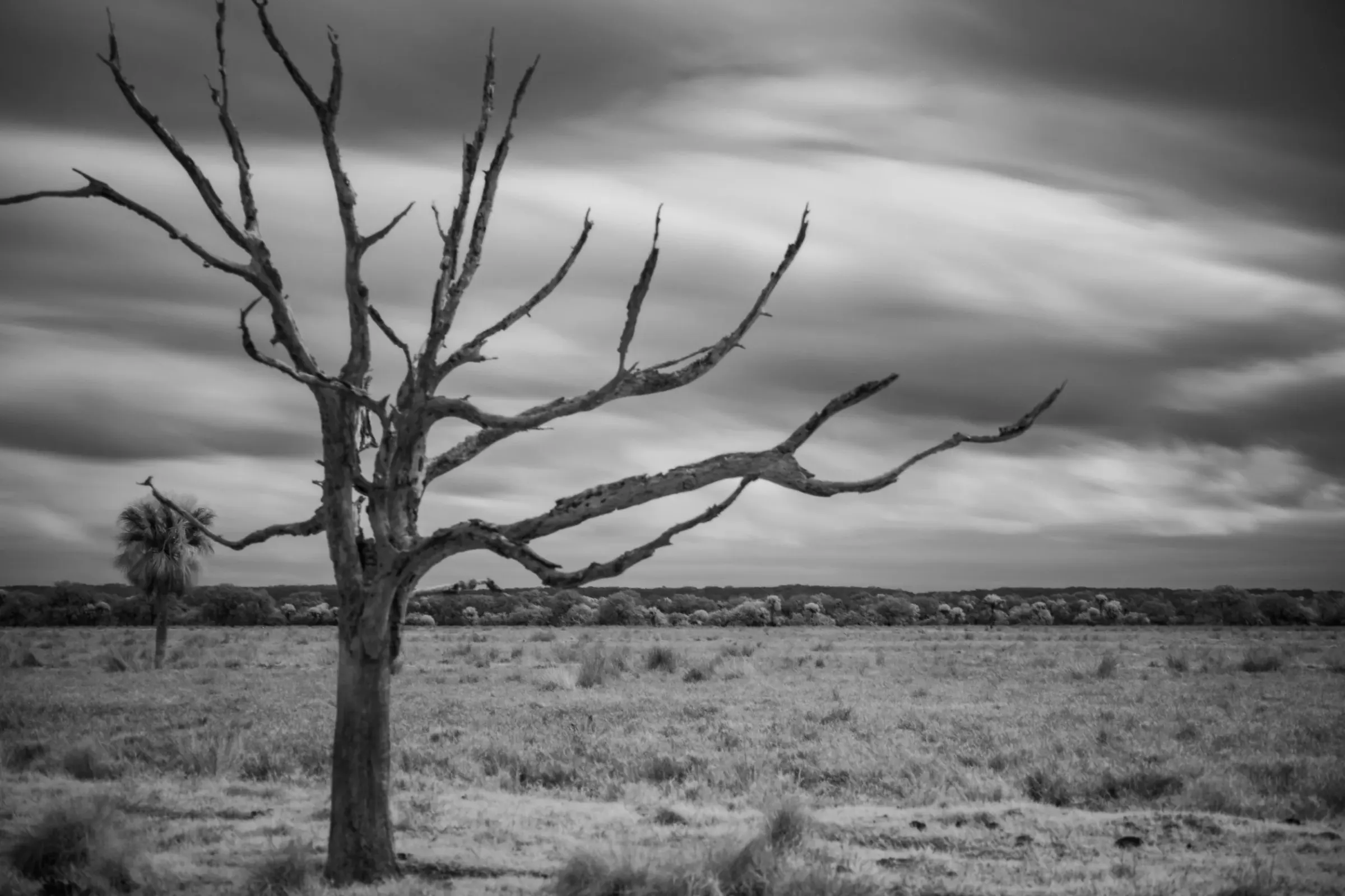 Landscapes — photograph 10