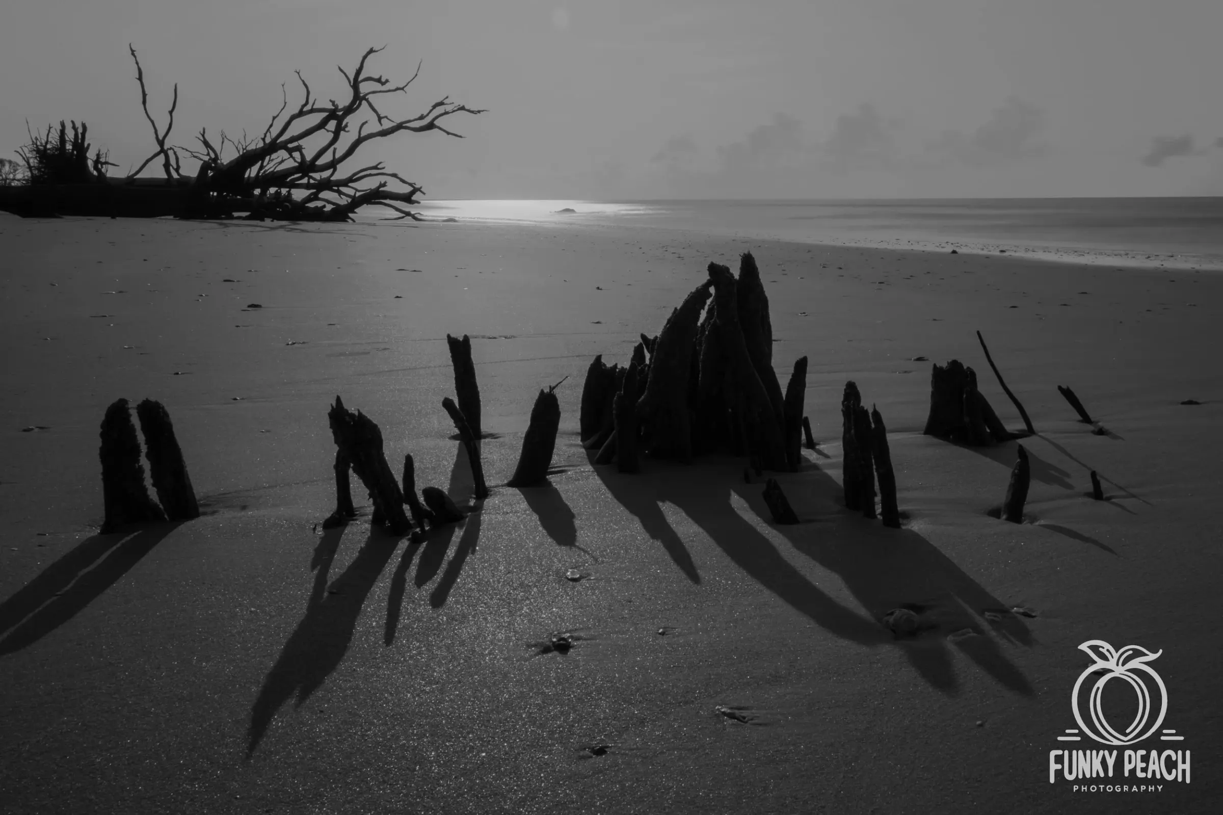 Landscapes — photograph 36