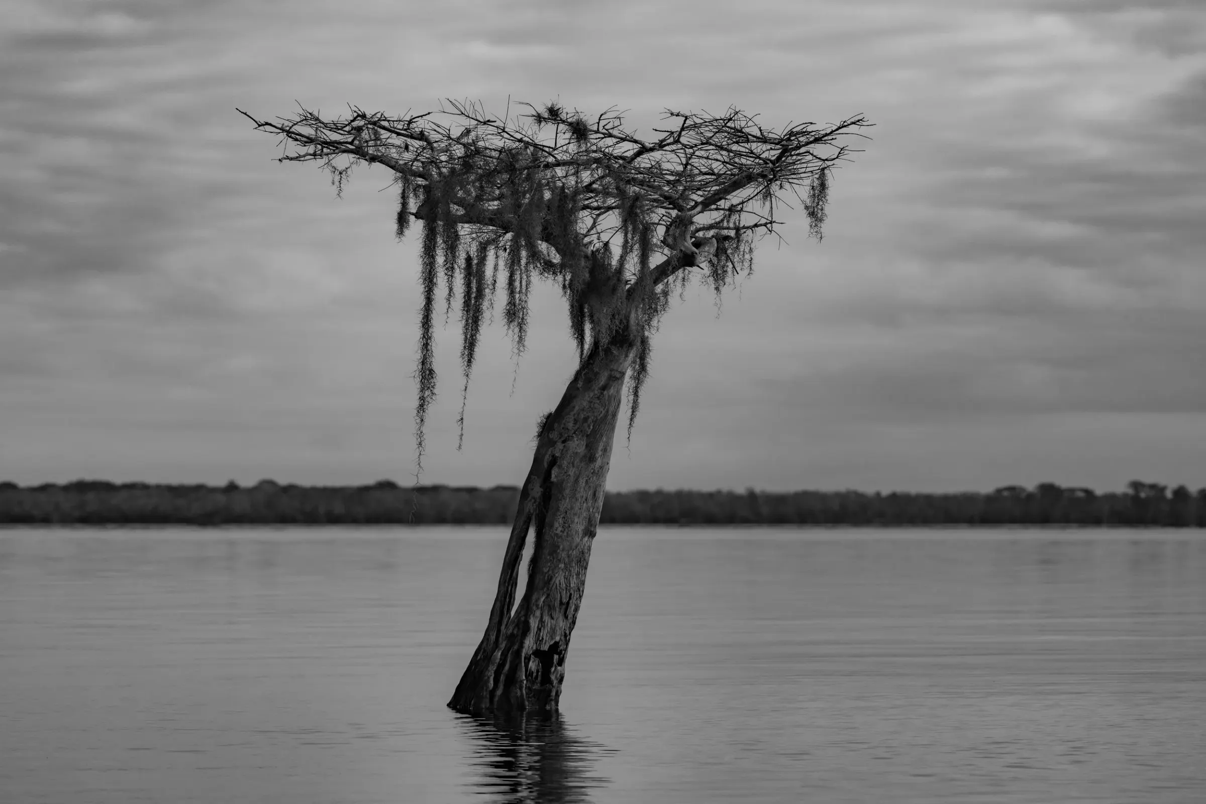 Landscapes — photograph 12