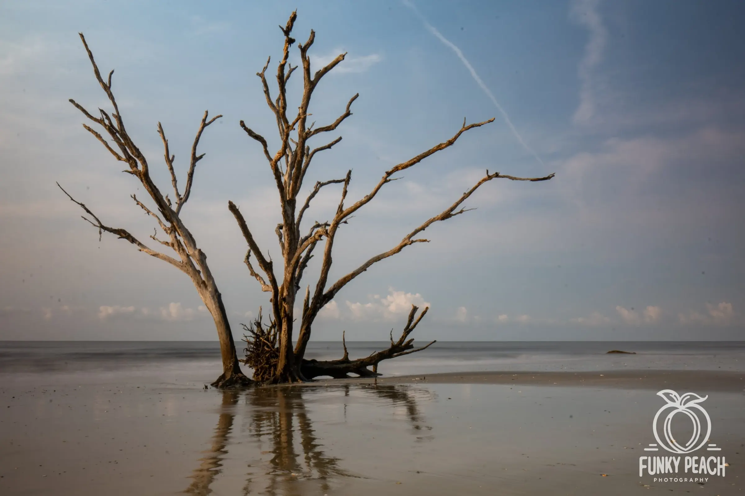 Landscapes — photograph 34
