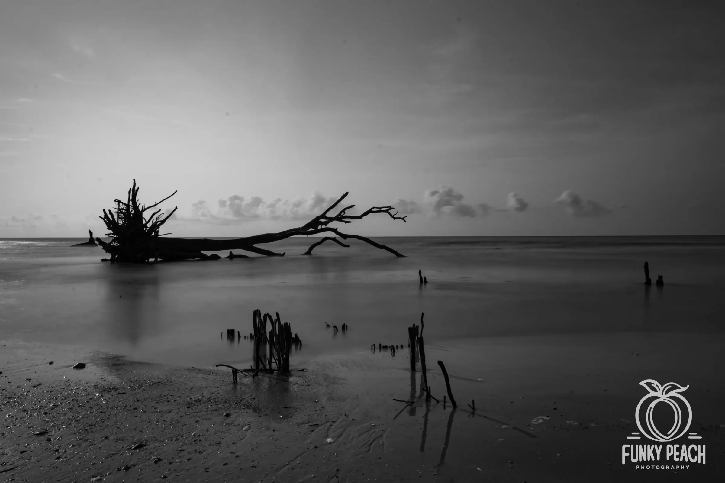 Landscapes — photograph 45