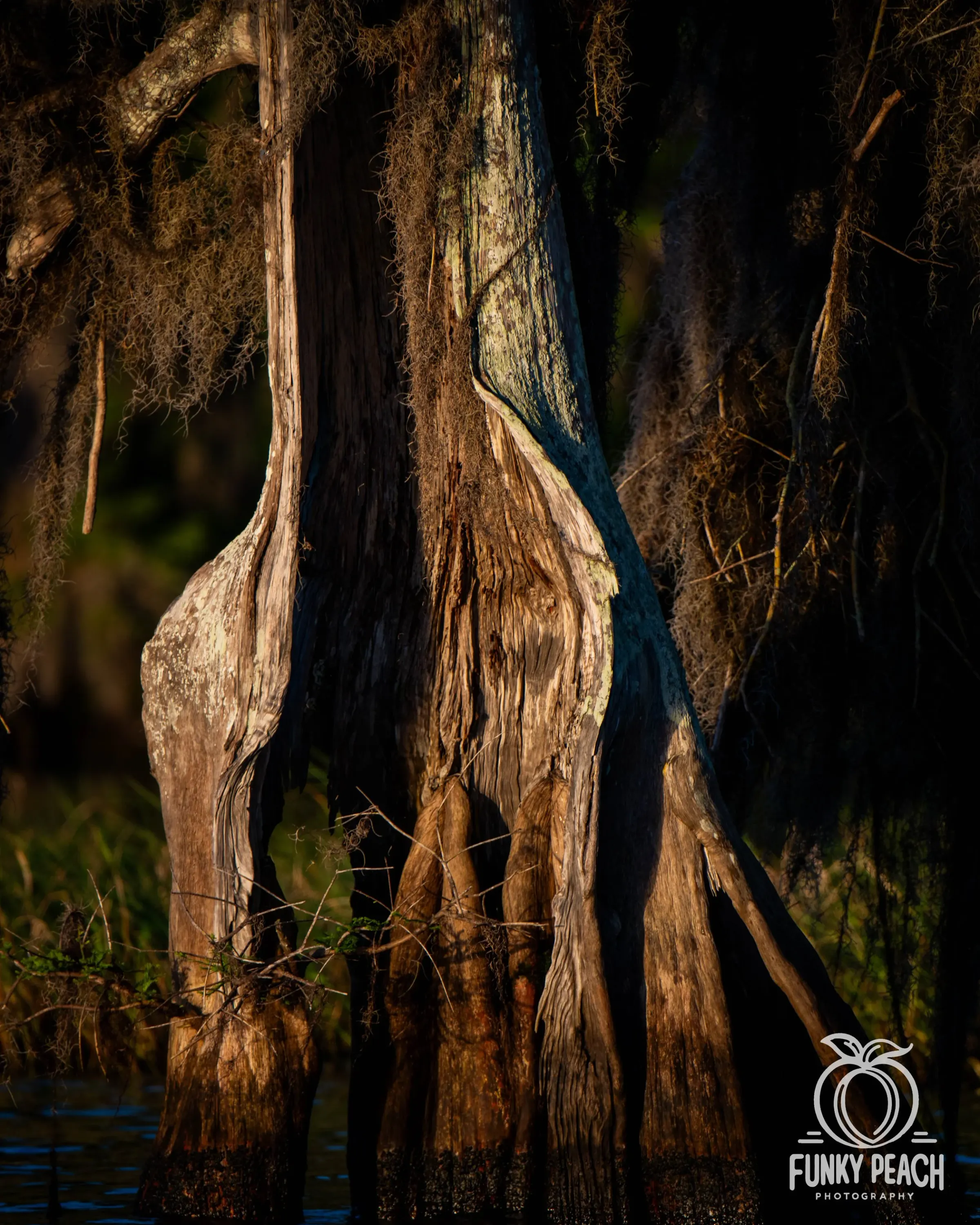 Landscapes — photograph 26