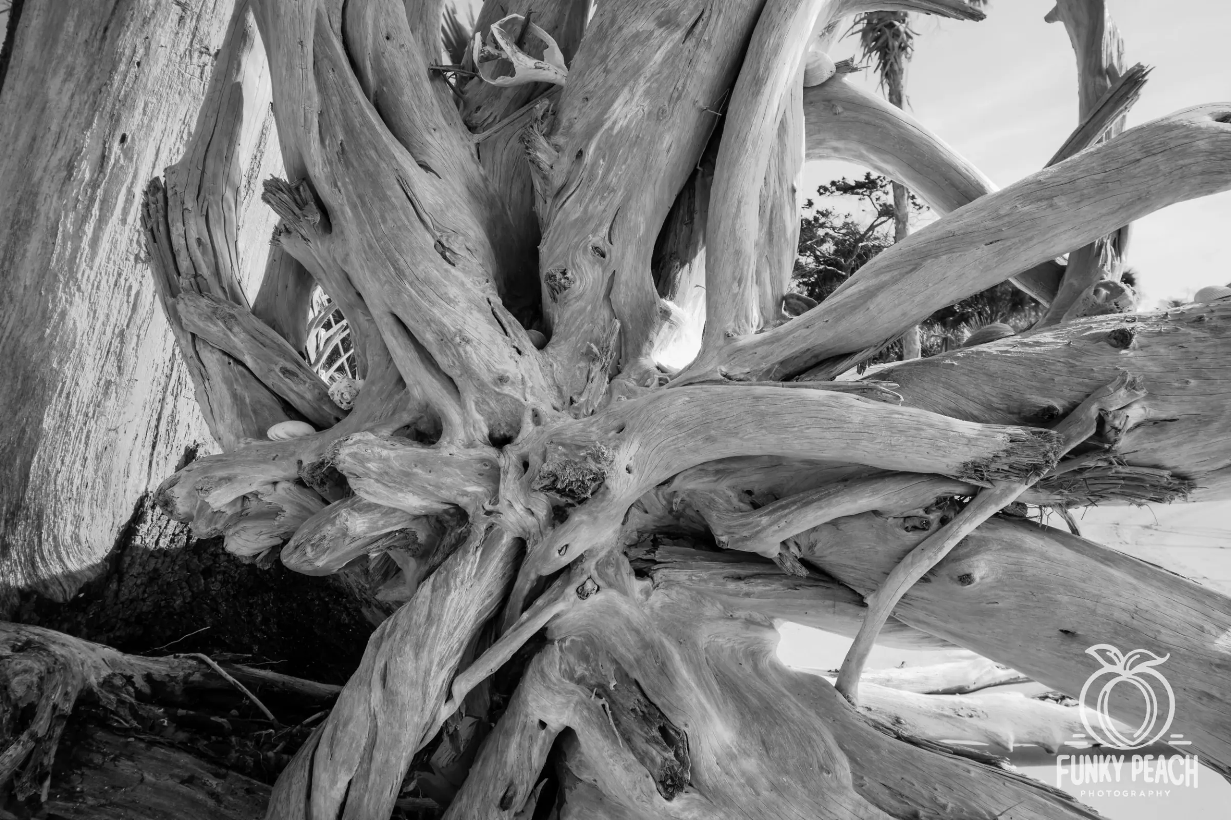 Landscapes — photograph 48