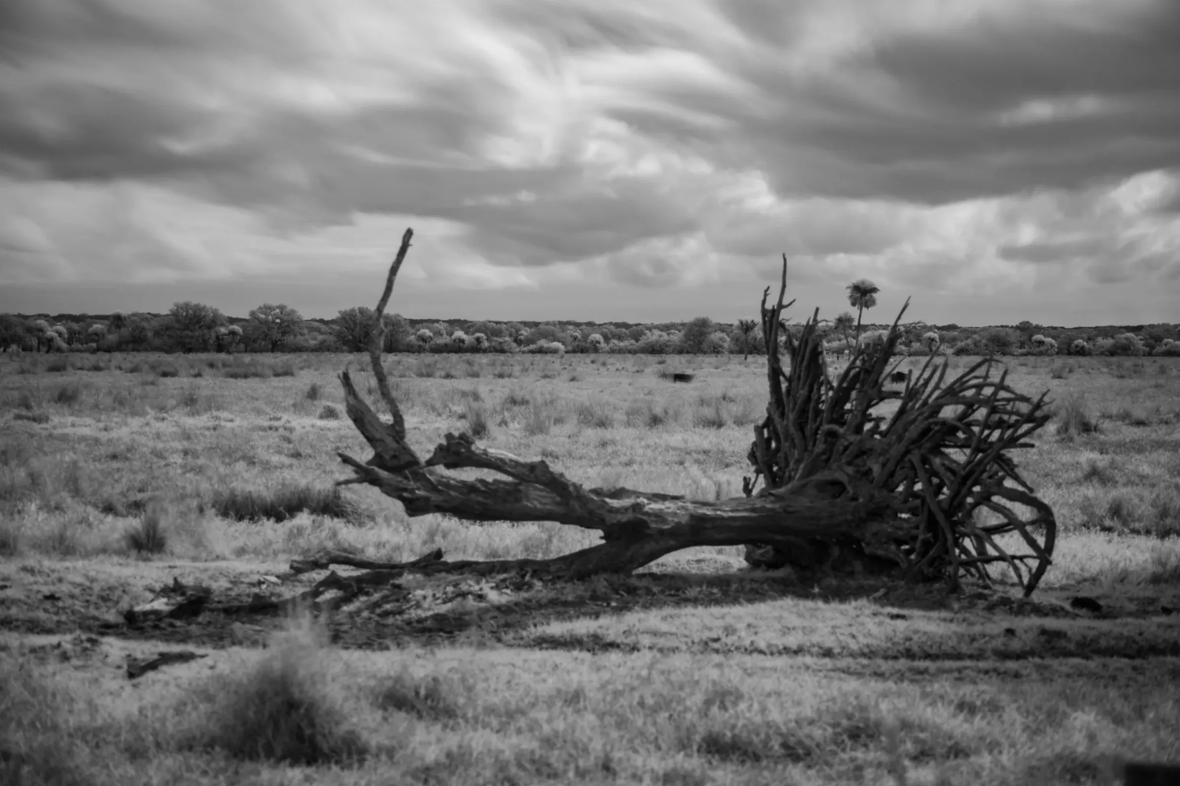 Landscapes — photograph 7