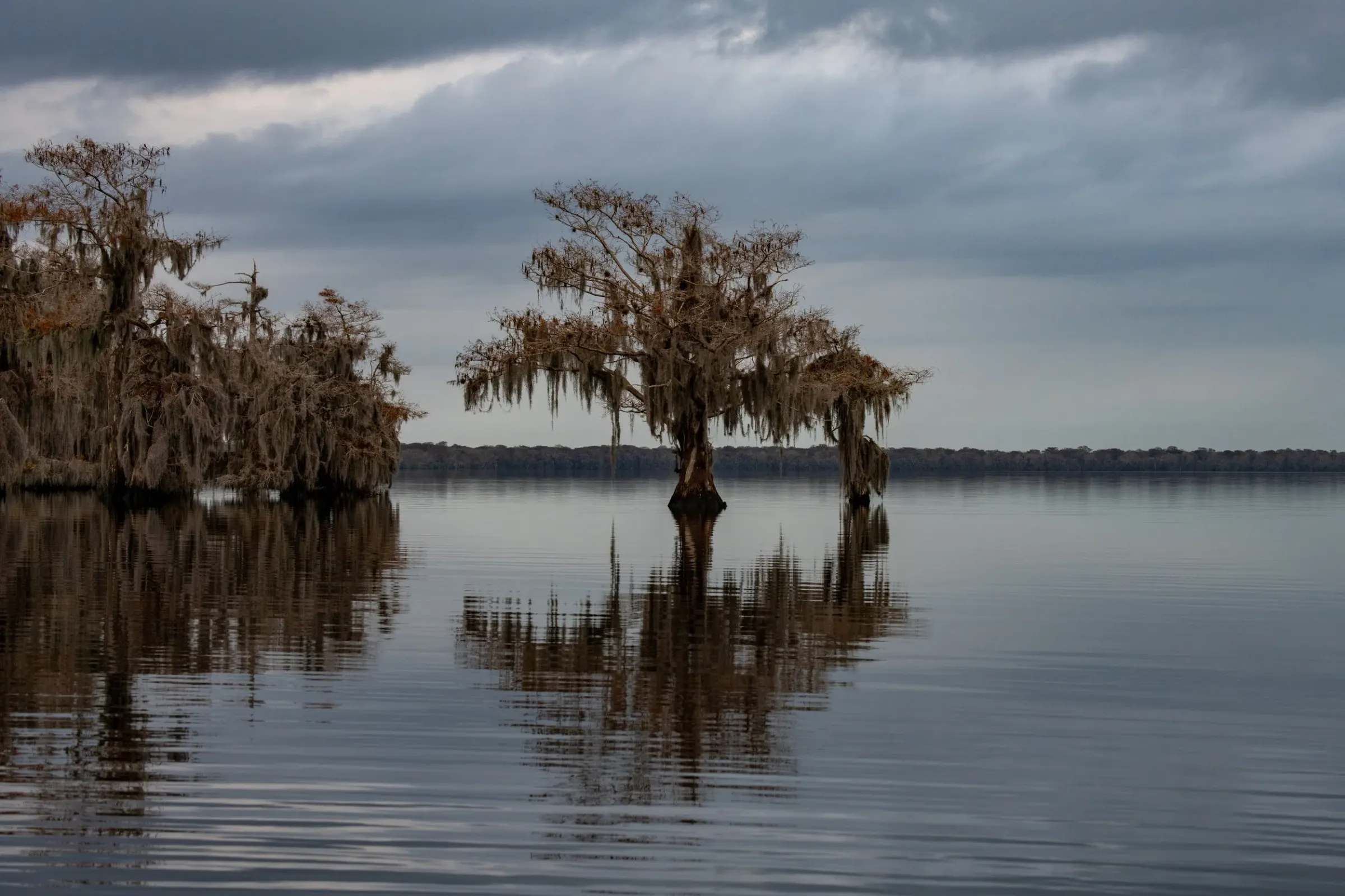 Landscapes — photograph 15
