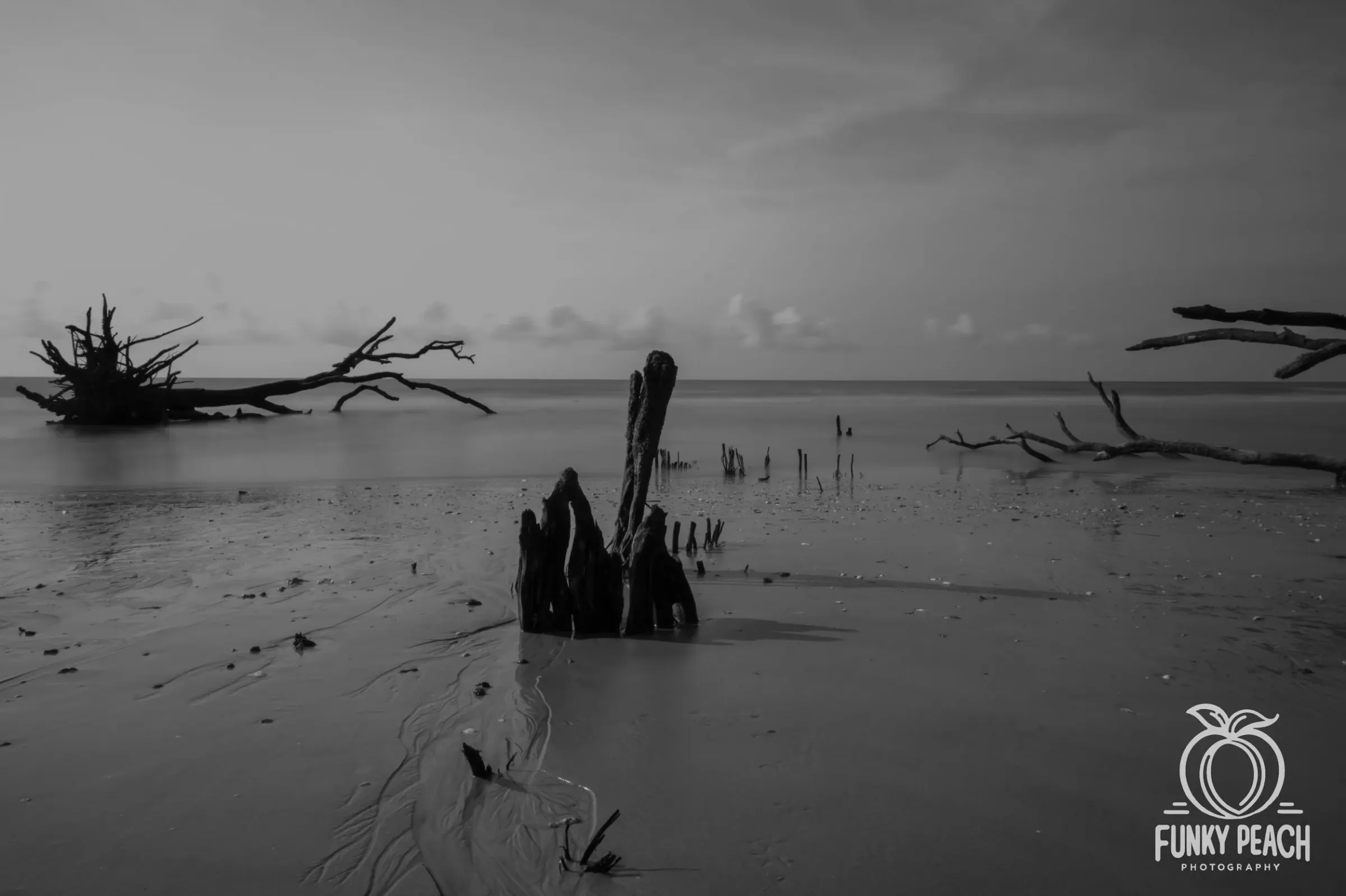 Landscapes — photograph 47