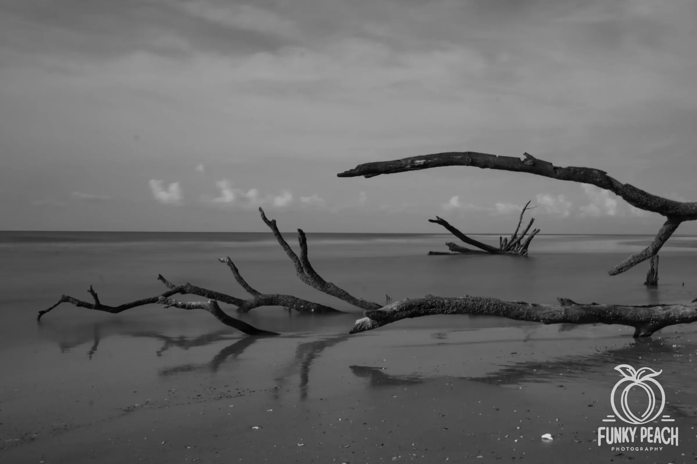 Landscapes — photograph 46