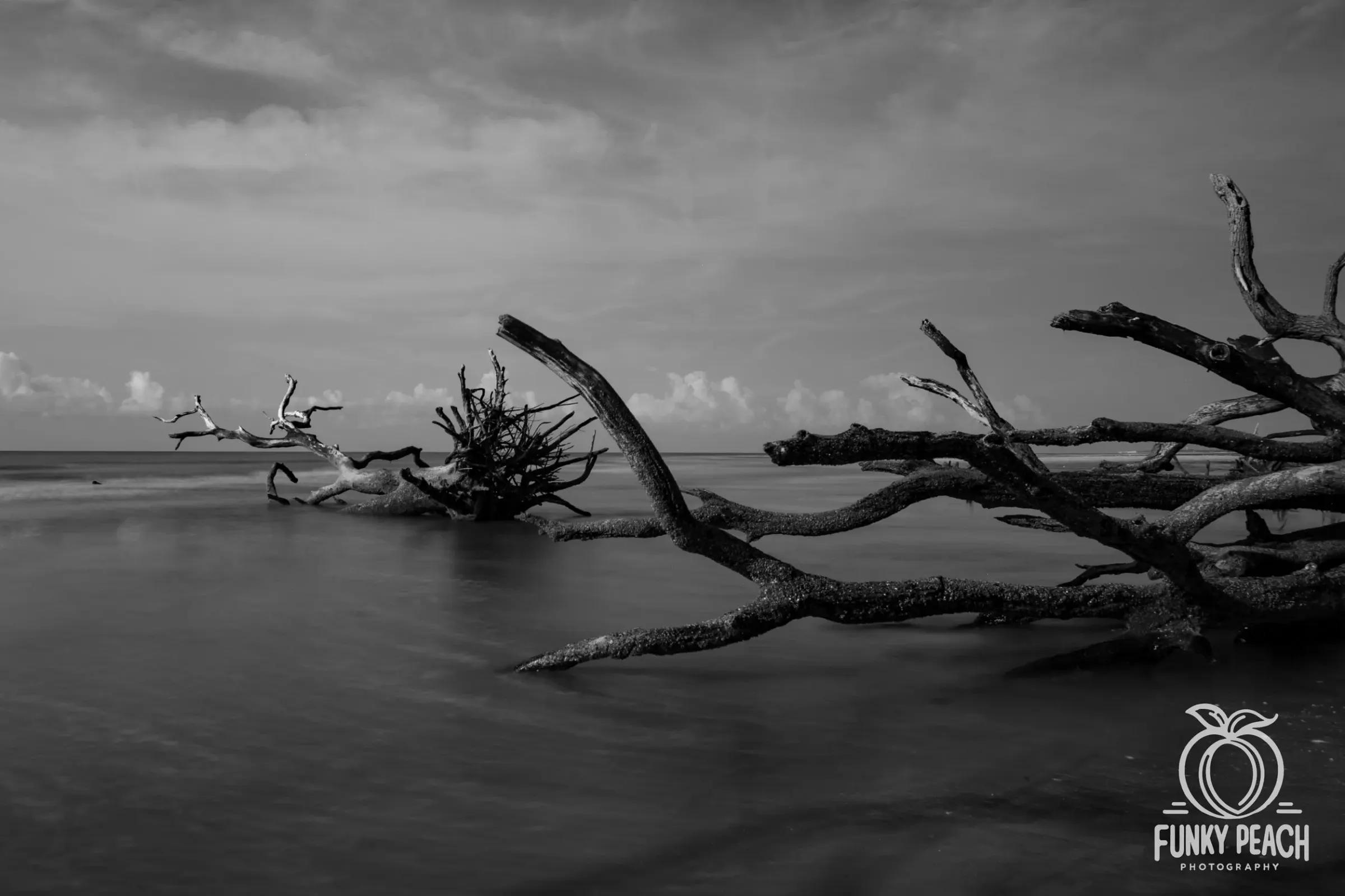 Landscapes — photograph 44