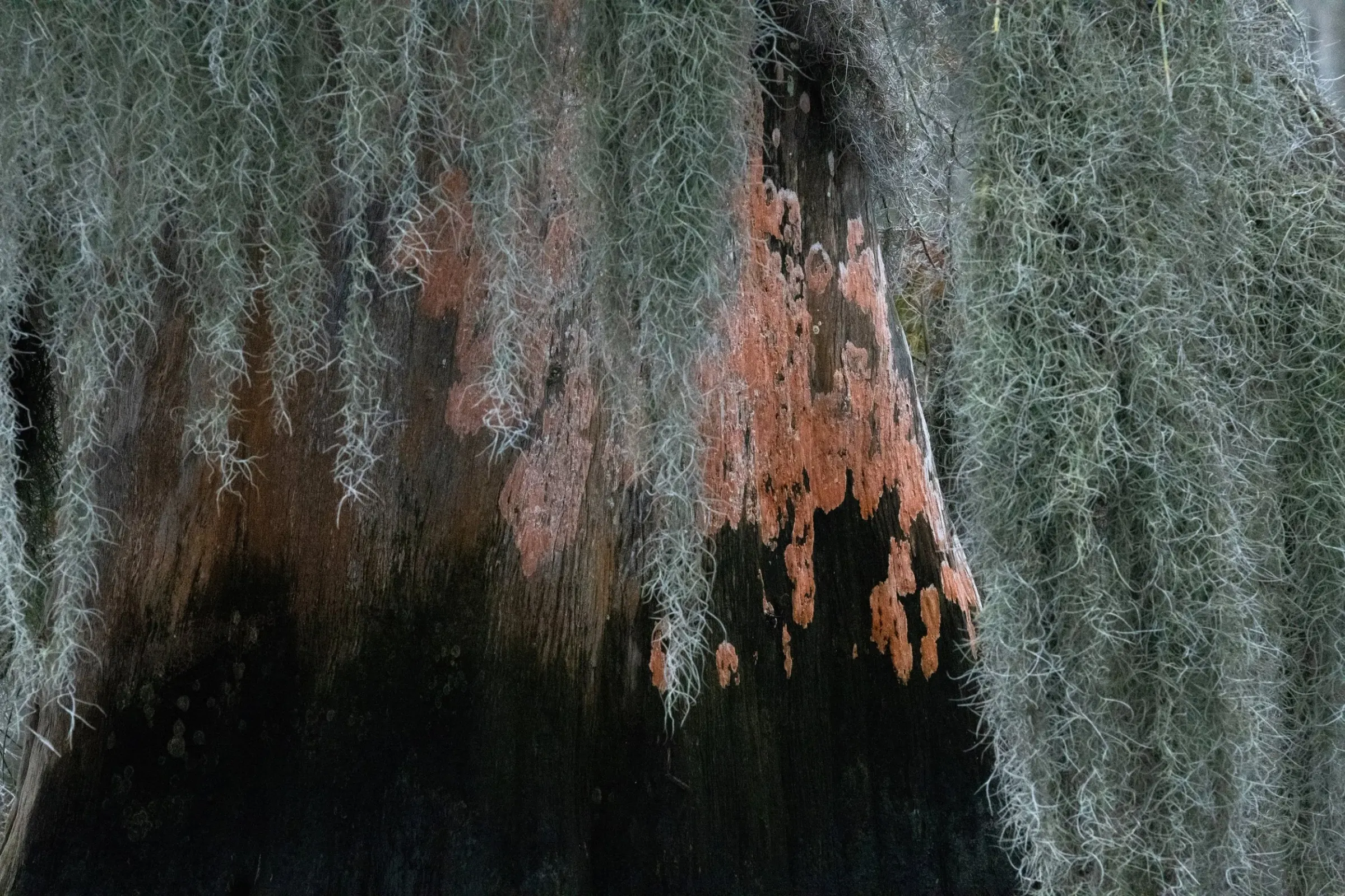 Landscapes — photograph 19