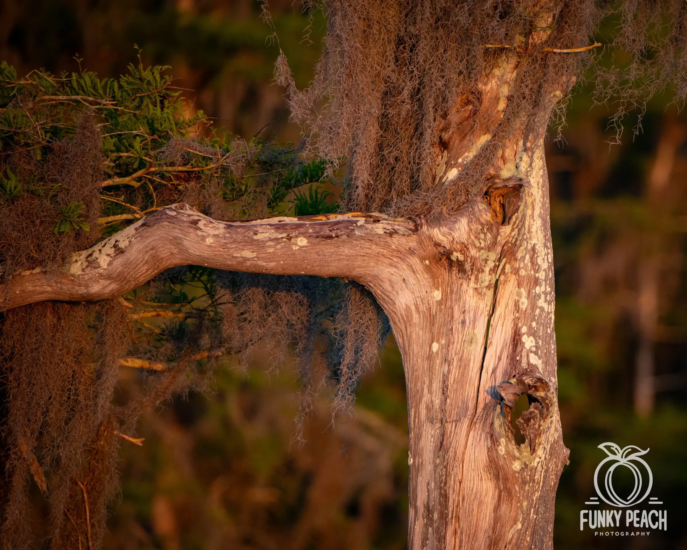 Landscapes — photograph 22