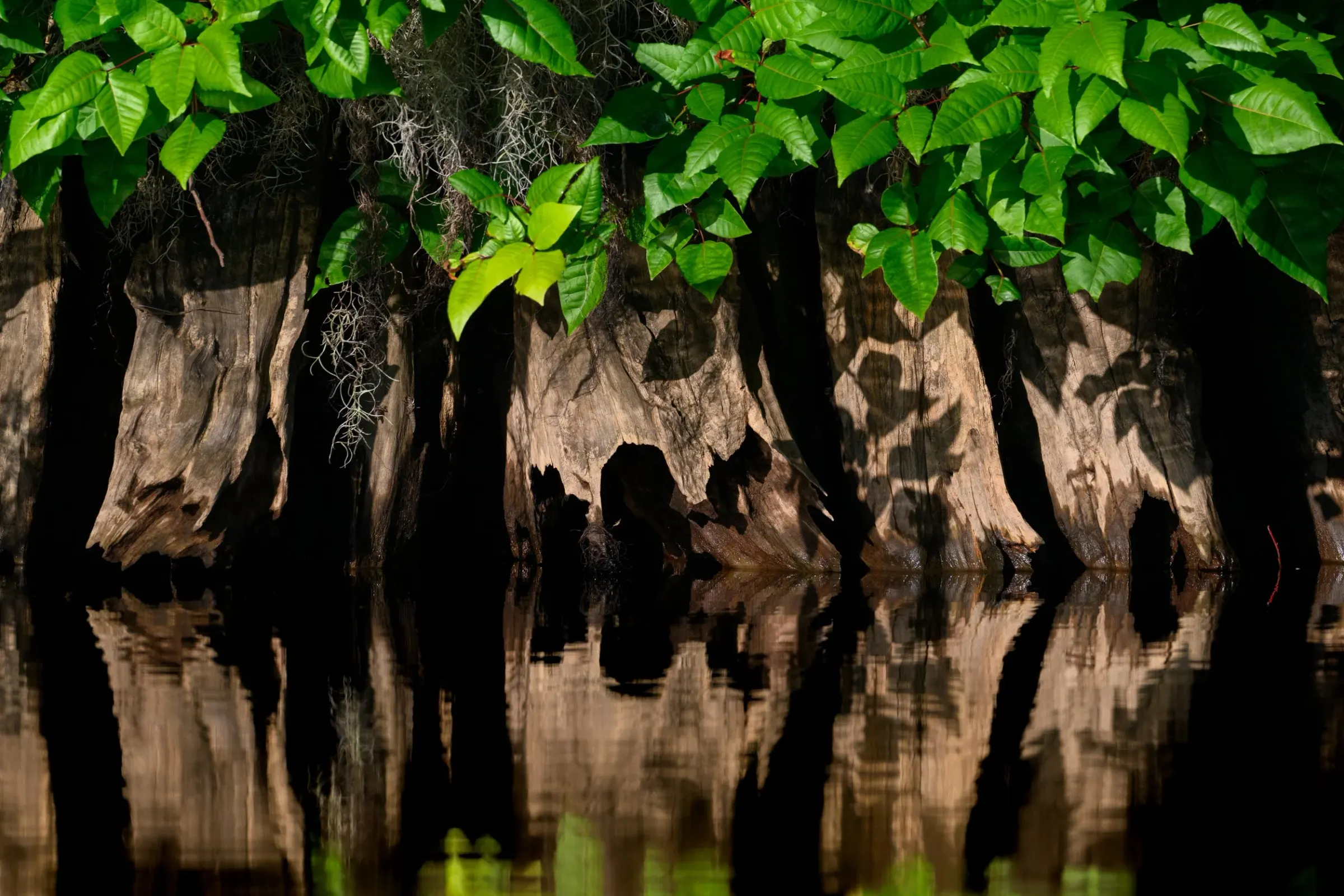 Landscapes — photograph 2
