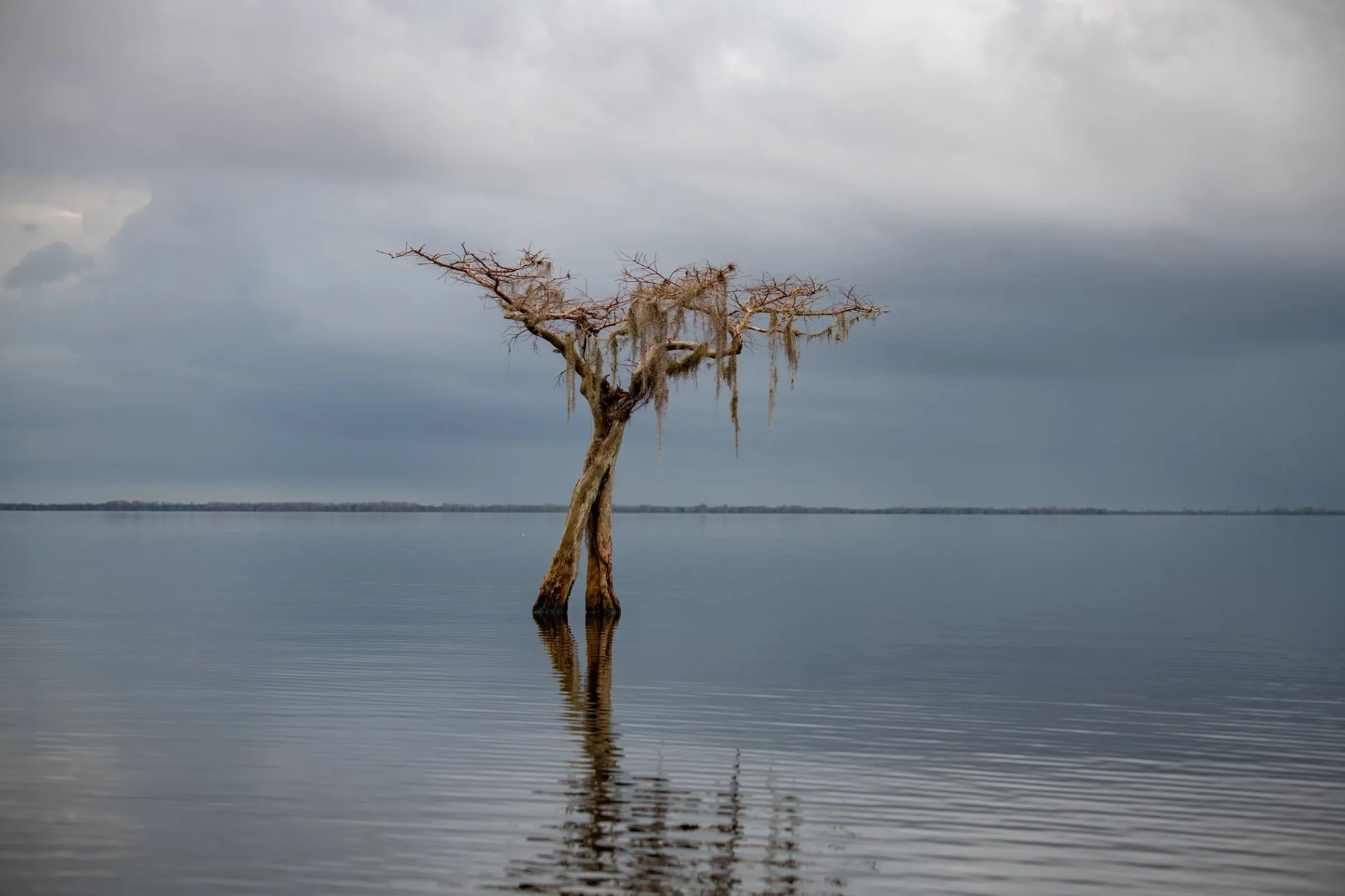 Landscapes — photograph 13