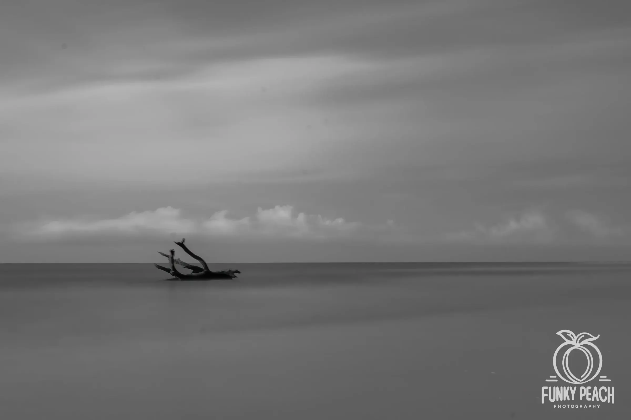 Landscapes — photograph 39